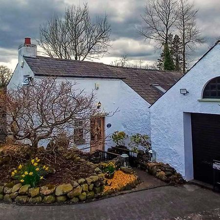 Riverside Cottage At Logwood Mill Ballyclare Eksteriør billede