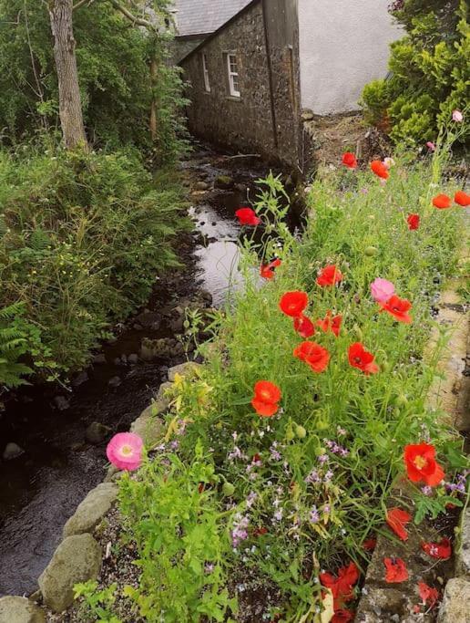 Riverside Cottage At Logwood Mill Ballyclare Eksteriør billede