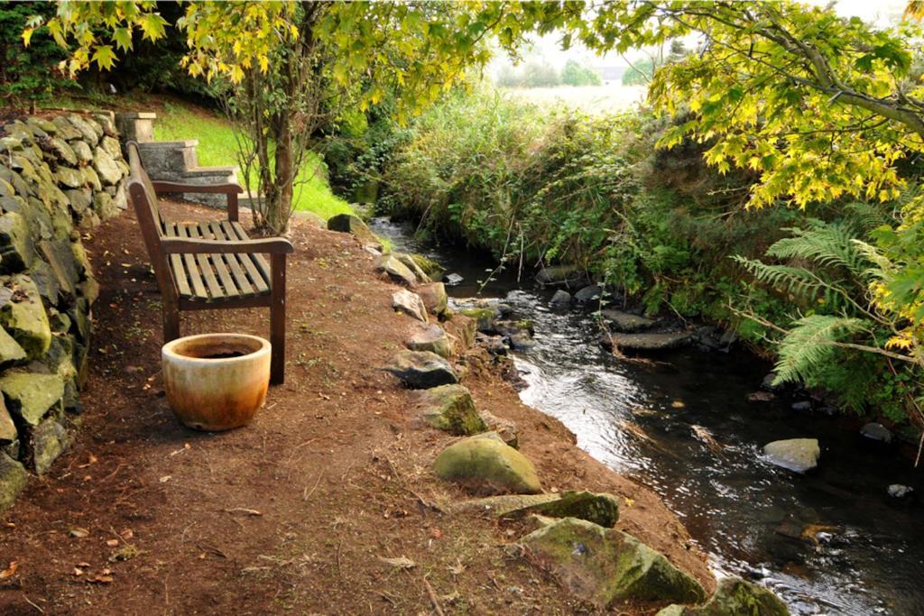 Riverside Cottage At Logwood Mill Ballyclare Eksteriør billede