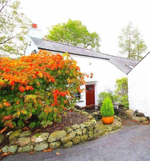 Riverside Cottage At Logwood Mill Ballyclare Eksteriør billede