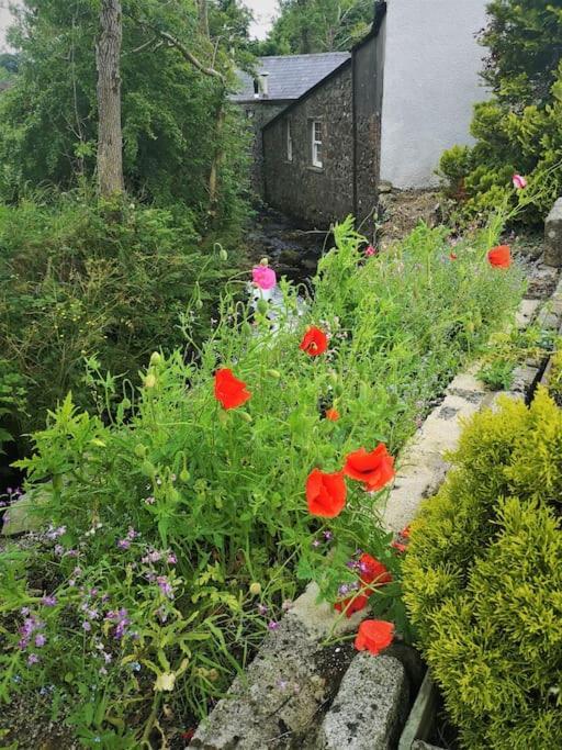 Riverside Cottage At Logwood Mill Ballyclare Eksteriør billede