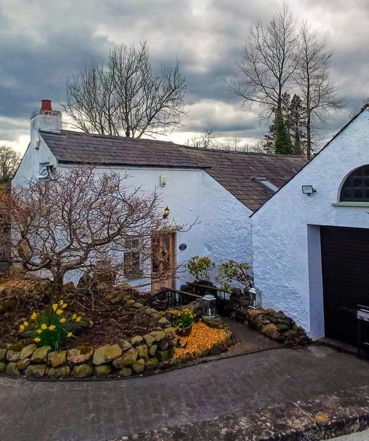Riverside Cottage At Logwood Mill Ballyclare Eksteriør billede